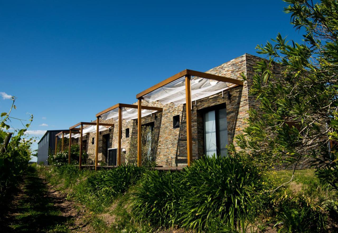 Pizzorno Lodge & Wine Progreso Exterior foto