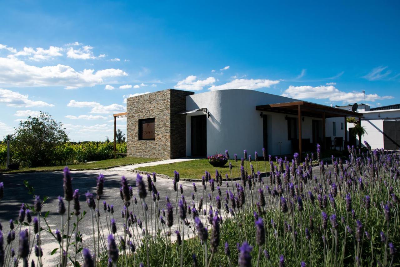 Pizzorno Lodge & Wine Progreso Exterior foto